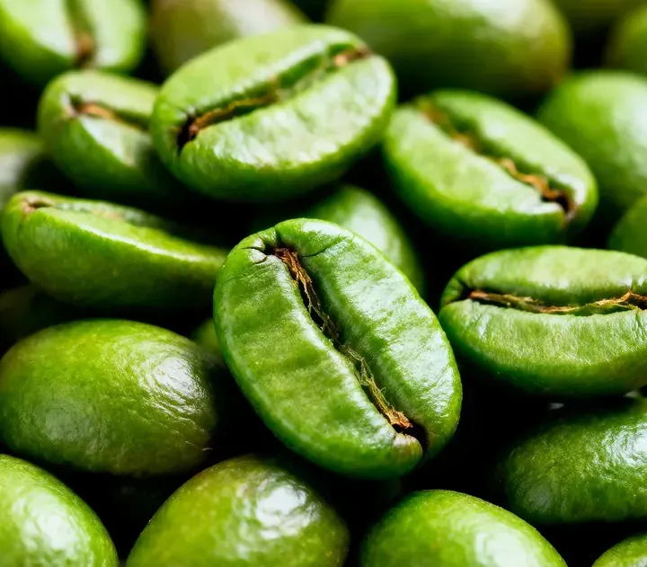 Green coffee beans, the caffeine source in the Memocept nootropic formula